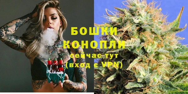 сатива Приозерск