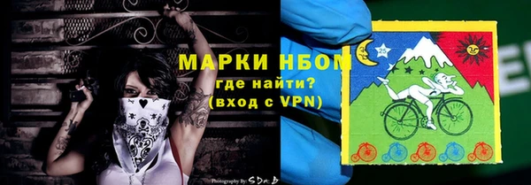 индика Бутурлиновка