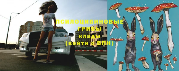 сатива Приозерск